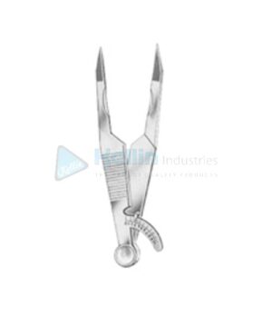 Weber</br>10-01011-09