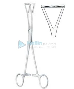 Duval Organ Grasing Forceps BJ 20cm/8"