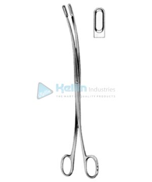 Desjardins Gall Stone Forceps 23cm/9" Fig # 1