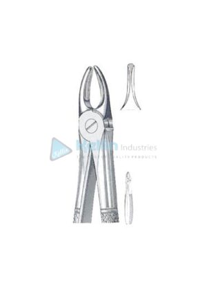 English Patterns Tooth Extracting Forceps Fig 3