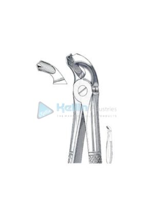 English Patterns Tooth Extracting Forceps Fig 21