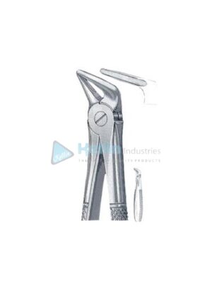 English Patterns Tooth Extracting Forceps Fig 31
