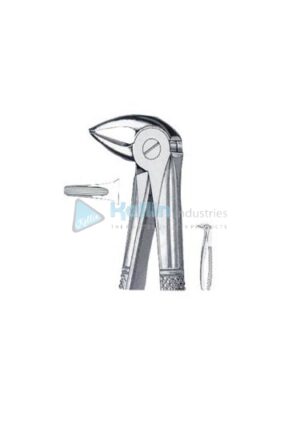 English Patterns Tooth Extracting Forceps Fig 33