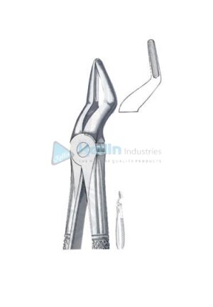 English Patterns Tooth Extracting Forceps Fig 51