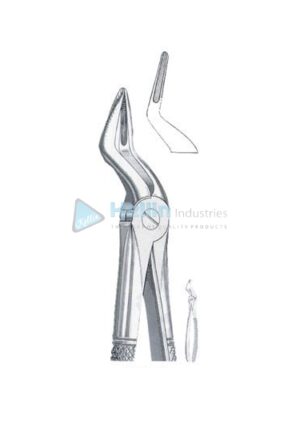 English Patterns Tooth Extracting Forceps Fig 51 A