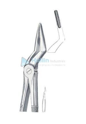 English Patterns Tooth Extracting Forceps Fig 51 M