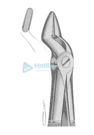 English Patterns Tooth Extracting Forceps Fig 52 A