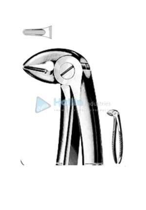 Busch English Patterns Tooth Extracting Forceps