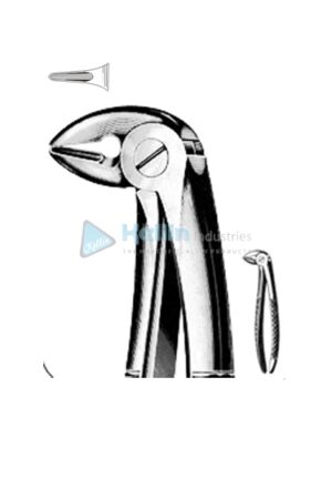 Busch English Patterns Tooth Extracting Forceps