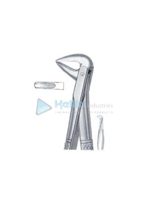 English Patterns Tooth Extracting Forceps Fig 74
