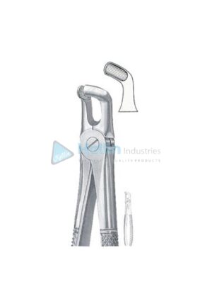 English Patterns Tooth Extracting Forceps Fig 79 A