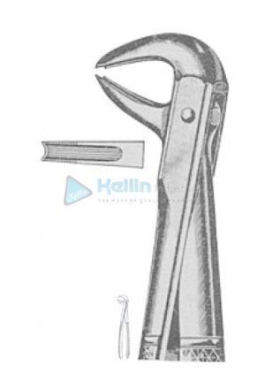 English Patterns Tooth Extracting Forceps Fig 169