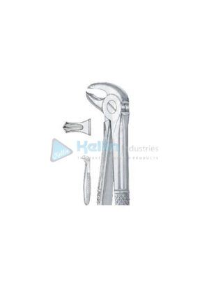 English Patterns Child Tooth Extracting Forceps Fig 22 S