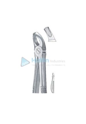 English Patterns Child Tooth Extracting Forceps Fig 39