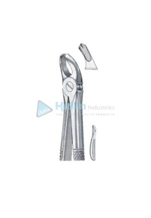 English Patterns Child Tooth Extracting Forceps Fig 39 L