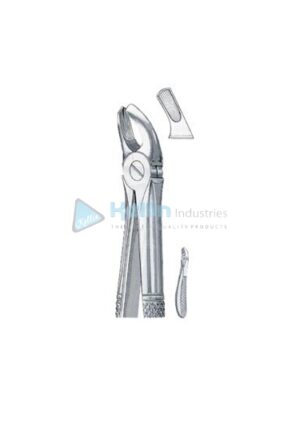English Patterns Child Tooth Extracting Forceps Fig 39 R
