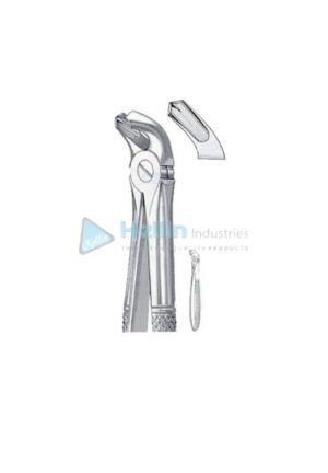 English Patterns Child Tooth Extracting Forceps Fig 40