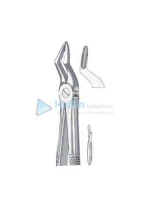 English Patterns Child Tooth Extracting Forceps Fig 51 S