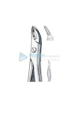 English Patterns Child Tooth Extracting Forceps Fig 76 S