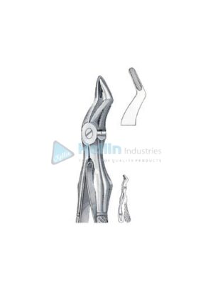 Klein Patterns Child Tooth Extracting Forceps Fig 51 S