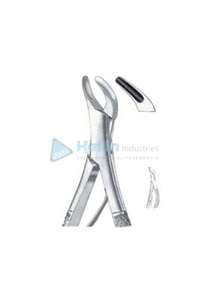American Patterns Child Tooth Extracting Forceps Fig 151 SK