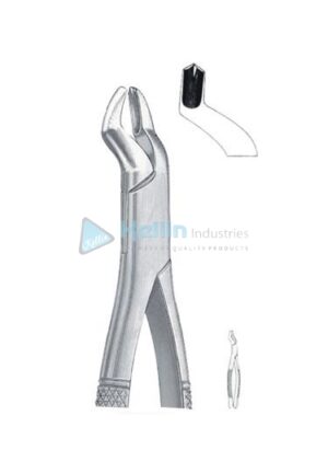 American Patterns Tooth Extracting Forceps Fig 53L