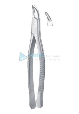 Hull American Patterns Tooth Extracting Forceps Fig 101