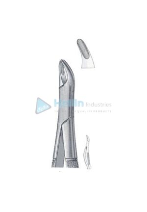 Cryer American Patterns Tooth Extracting Forceps Fig 150S