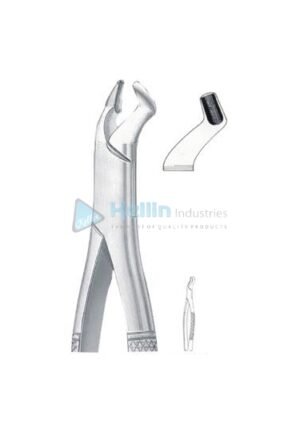 American Patterns Tooth Extracting Forceps Fig 210S