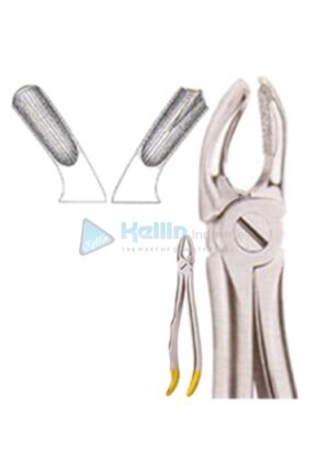Diamond Coated Ergo Grip Tooth Extracting Forceps Fig 3