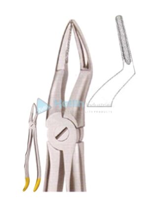 Diamond Coated Ergo Grip Tooth Extracting Forceps Fig 51 A