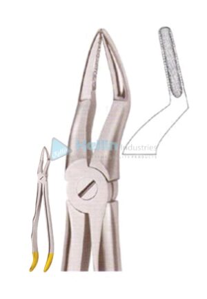 Diamond Coated Ergo Grip Tooth Extracting Forceps Fig 81