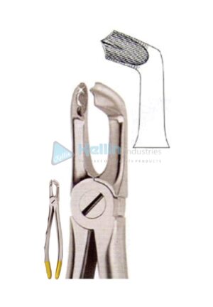 Diamond Coated Ergo Grip Tooth Extracting Forceps