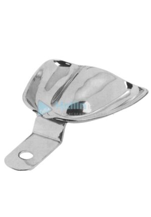 Solid Full Denture XL