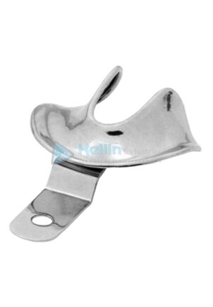 Solid Full Denture L