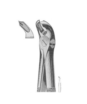 English Patterns Tooth Extracting Forceps Fig 32