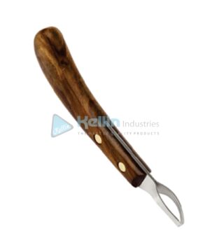 Oval Loop Hoof Knife (Wooden Handle) 14cm/5½" (Medium) Length: 3.7cm Width: 1.6cm
