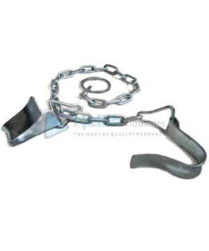 Fettering chain for cattle. Special hook to hang around the hocks to prevent kicking.