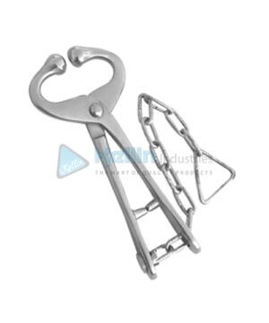 Bull Lead Heavy Duty With Chain