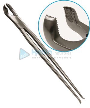 Large Extraction Forceps 48cm/19"